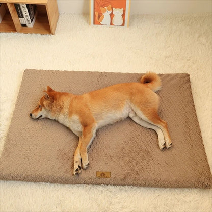 Plush Foam Pet Bed with Washable Cover