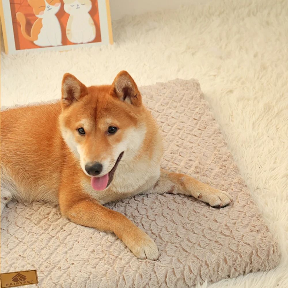 Plush Foam Pet Bed with Washable Cover