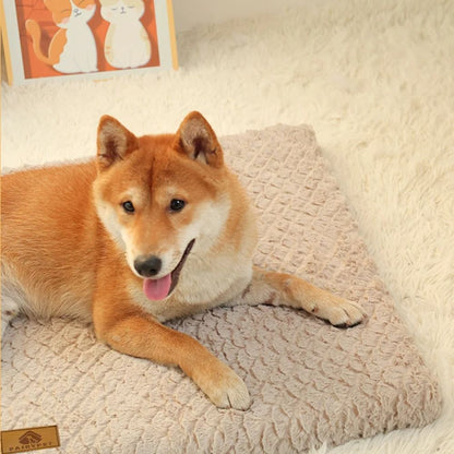 Plush Foam Pet Bed with Washable Cover
