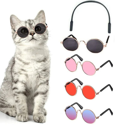 Cute Pet Sunglasses for Cats and Small Dogs UV Protection Summer Photo Props