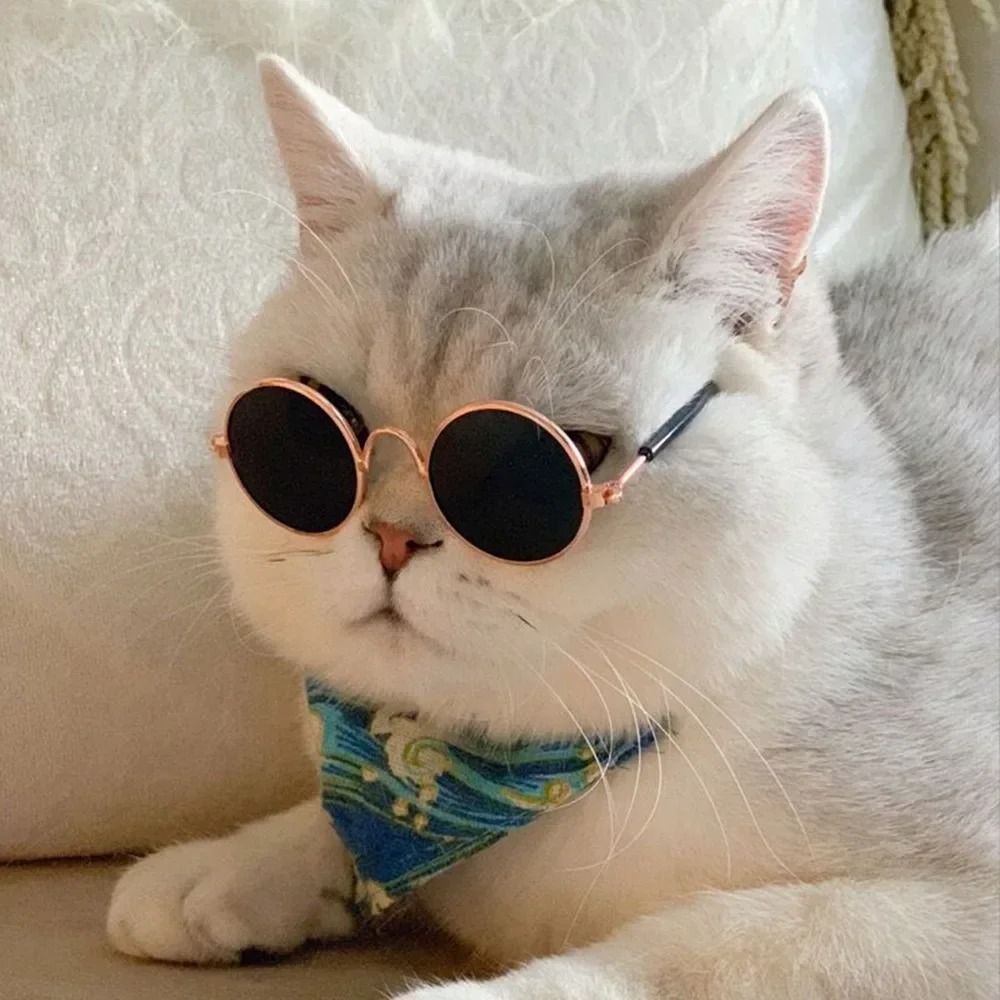 Cute Pet Sunglasses for Cats and Small Dogs UV Protection Summer Photo Props