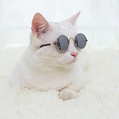 Cute Pet Sunglasses for Cats and Small Dogs UV Protection Summer Photo Props