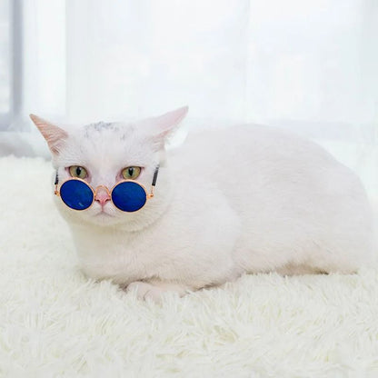 Cute Pet Sunglasses for Cats and Small Dogs UV Protection Summer Photo Props