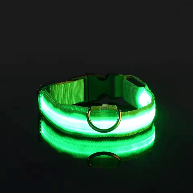 GlowGuard LED Dog Leash and Collar Set