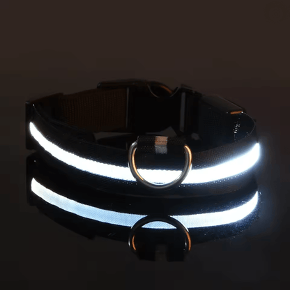 GlowGuard LED Dog Leash and Collar Set