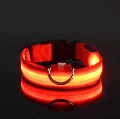 GlowGuard LED Dog Leash and Collar Set