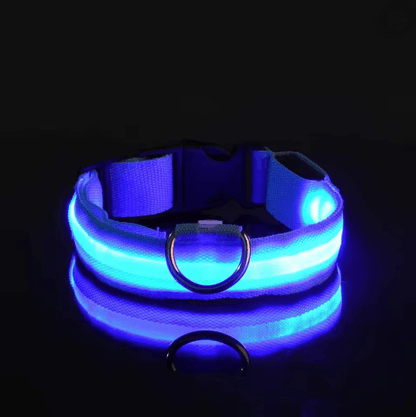 GlowGuard LED Dog Leash and Collar Set