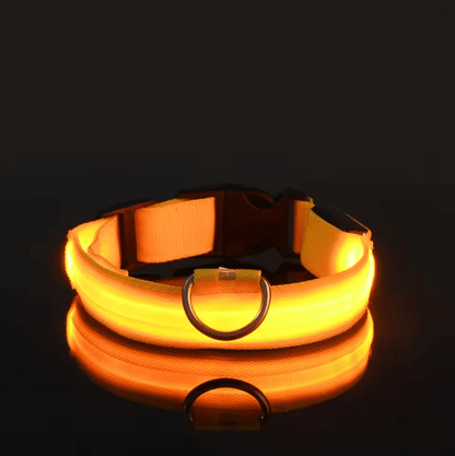 GlowGuard LED Dog Leash and Collar Set