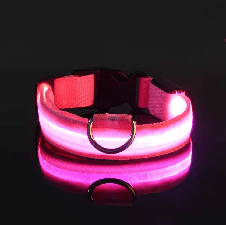 GlowGuard LED Dog Leash and Collar Set