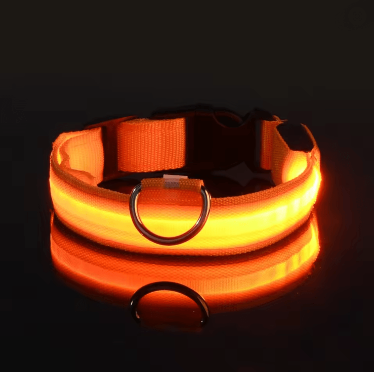 GlowGuard LED Dog Leash and Collar Set