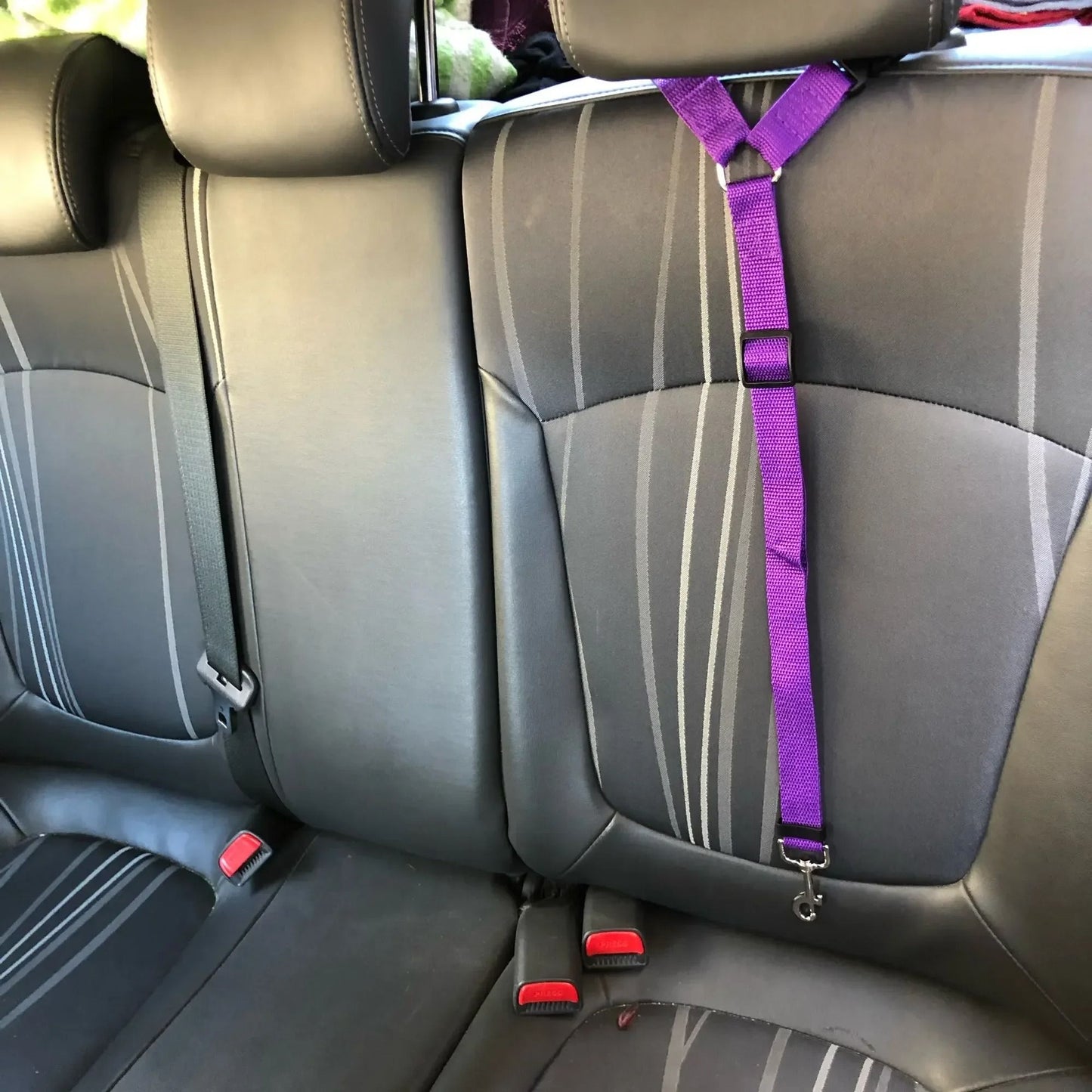 Adjustable Pet Car Seat Belt Leash for Dogs and Cats.