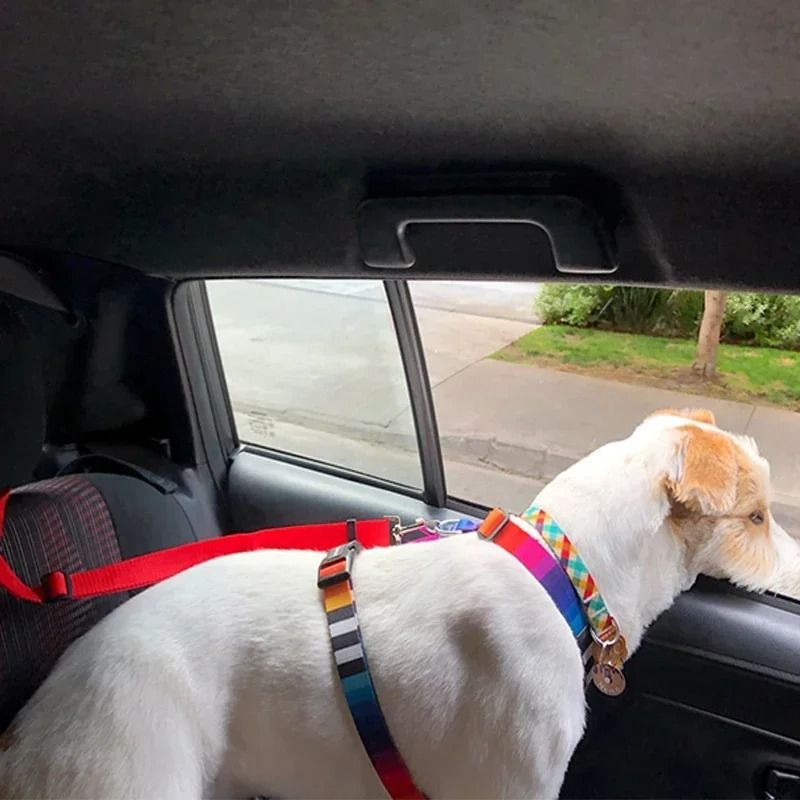 Adjustable Pet Car Seat Belt Leash for Dogs and Cats.