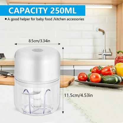 Portable Electric Garlic Chopper Wireless Mini Food Processor 100 ml 250 ml