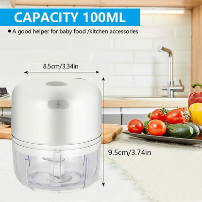 Portable Electric Garlic Chopper Wireless Mini Food Processor 100 ml 250 ml