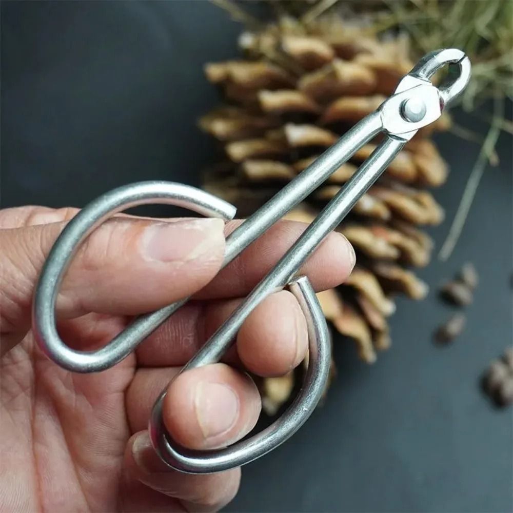Pine Nut Clamp Practical Nut Opener Kitchen Gadget Durable Sheller