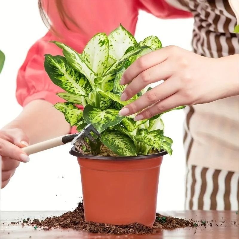 Plastic Plant Nursery Pots 4 Inch 10 Piece Set