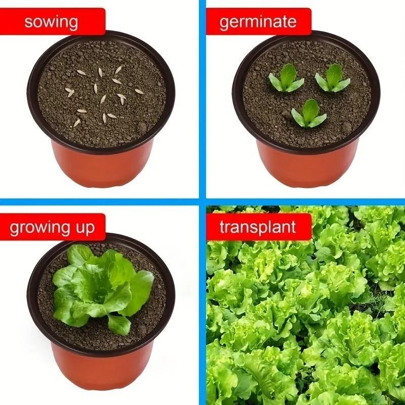 Plastic Plant Nursery Pots 4 Inch 10 Piece Set