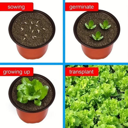 Plastic Plant Nursery Pots 4 Inch 10 Piece Set