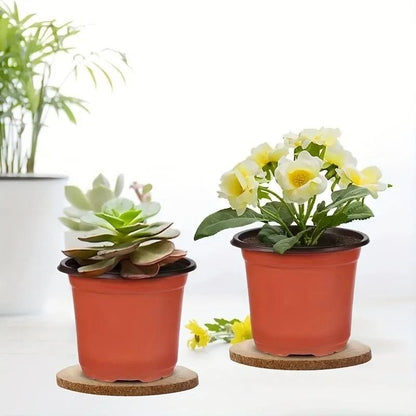 Plastic Plant Nursery Pots 4 Inch 10 Piece Set