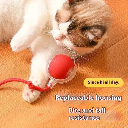 WhiskerSpin Smart Rolling Toy Ball – USB Rechargeable Auto Teaser for Cats & Pets