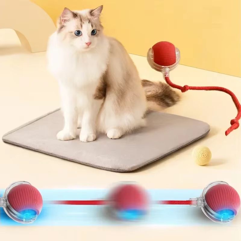 WhiskerSpin Smart Rolling Toy Ball – USB Rechargeable Auto Teaser for Cats & Pets