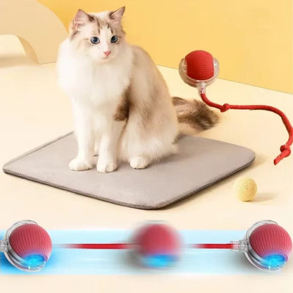 WhiskerSpin Smart Rolling Toy Ball – USB Rechargeable Auto Teaser for Cats & Pets