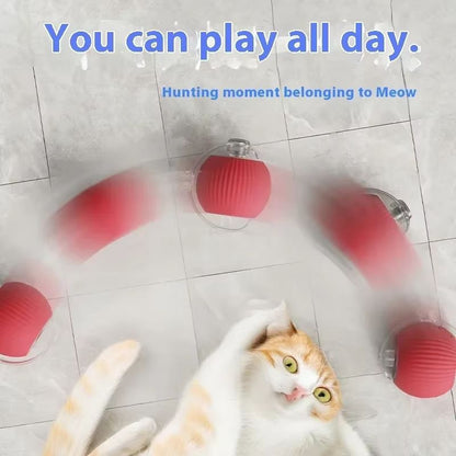 WhiskerSpin Smart Rolling Toy Ball – USB Rechargeable Auto Teaser for Cats & Pets