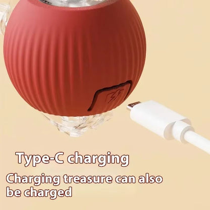 WhiskerSpin Smart Rolling Toy Ball – USB Rechargeable Auto Teaser for Cats & Pets