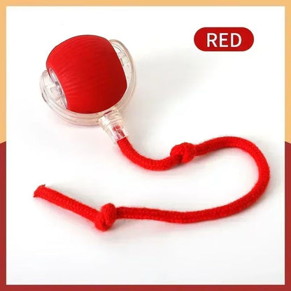 WhiskerSpin Smart Rolling Toy Ball – USB Rechargeable Auto Teaser for Cats & Pets