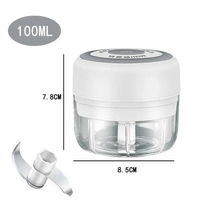 Electric Garlic Chopper and Meat Mincer – 100ML/250ML Portable Food Processor