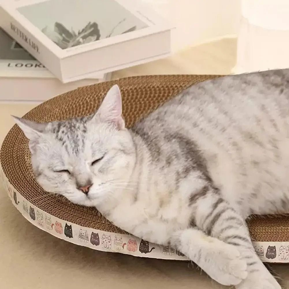 Round Corrugated Cat Scratcher Bed for Claw Care and Playtime