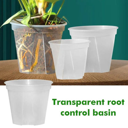 Transparent Green Root Control Plant Pot