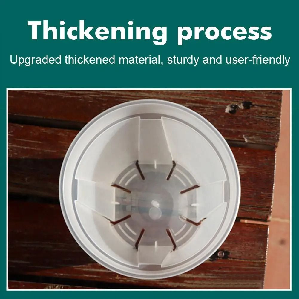 Transparent Green Root Control Plant Pot