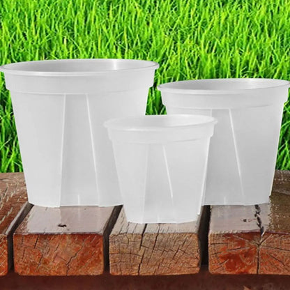 Transparent Green Root Control Plant Pot