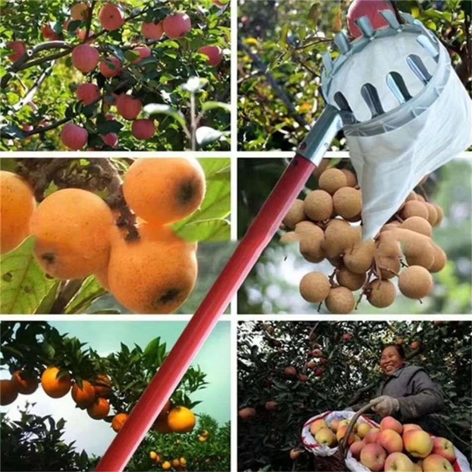 TreeReach Telescopic Galvanized-Iron High-Branch Fruit Picker – Multi-Purpose Garden & Farm Tool