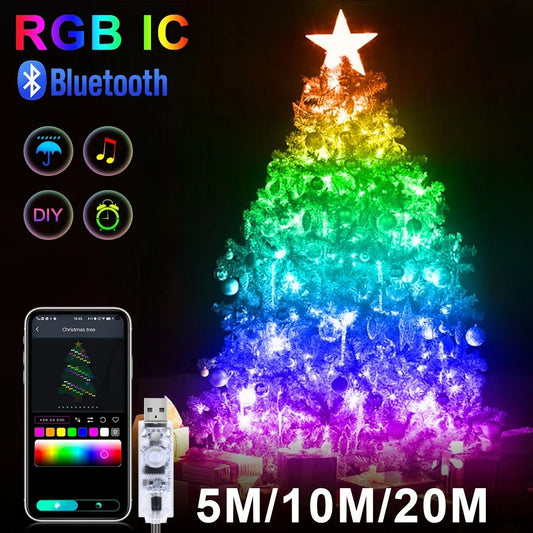 RGBIC Bluetooth LED String Light WS2812B USB Music Dream Color Light