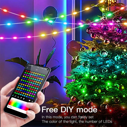 RGBIC Bluetooth LED String Light WS2812B USB Music Dream Color Light