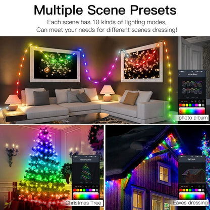 RGBIC Bluetooth LED String Light WS2812B USB Music Dream Color Light