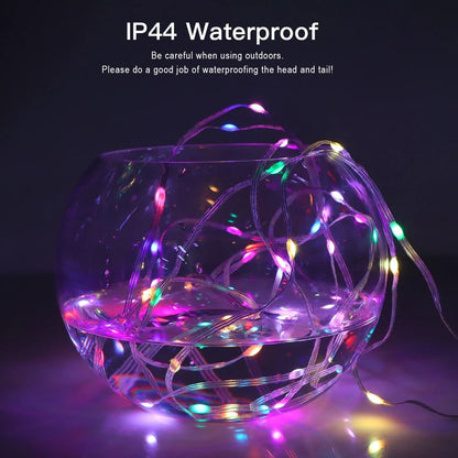 RGBIC Bluetooth LED String Light WS2812B USB Music Dream Color Light