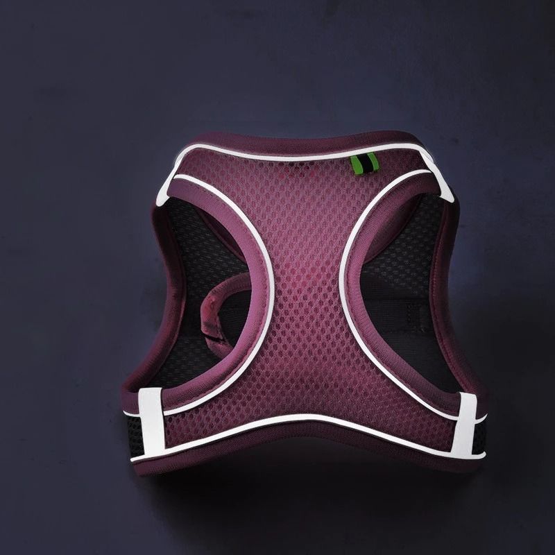Reflective Adjustable Pet Harness and Leash Set for Small and Medium Dogs