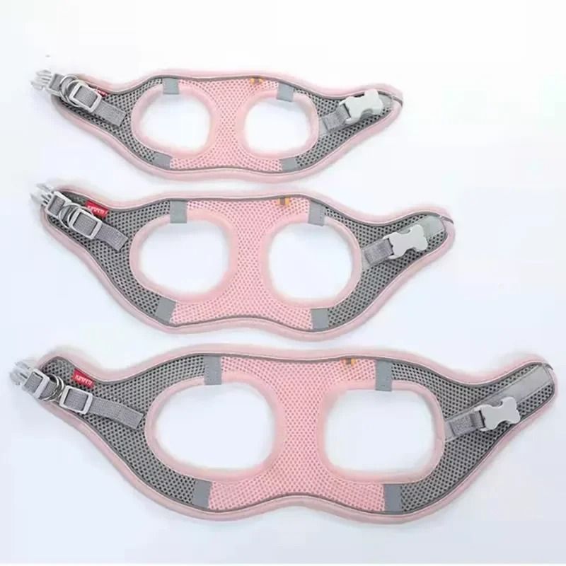 Reflective Adjustable Pet Harness and Leash Set for Small and Medium Dogs