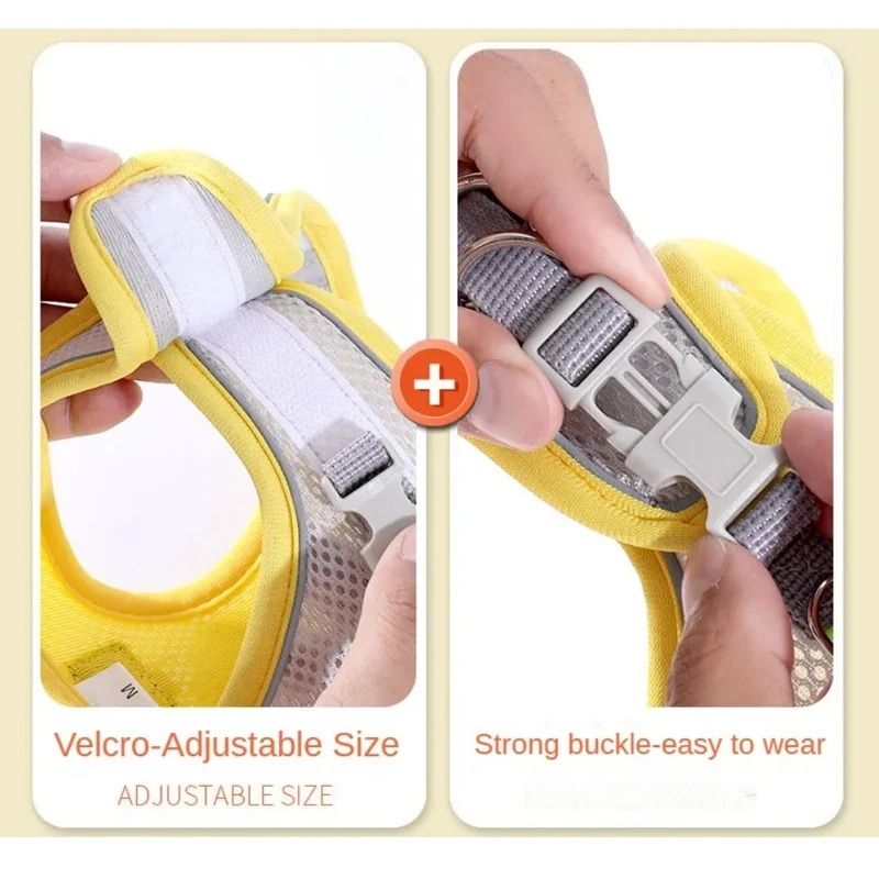 Reflective Adjustable Pet Harness and Leash Set for Small and Medium Dogs