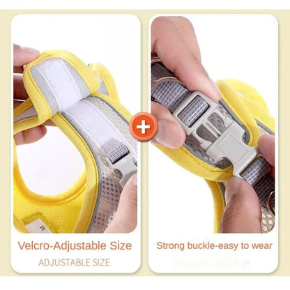 Reflective Adjustable Pet Harness and Leash Set for Small and Medium Dogs