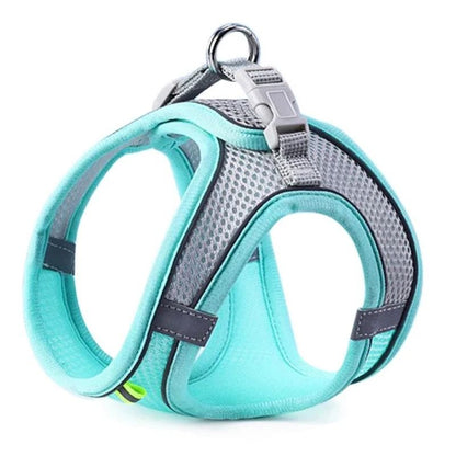 Reflective Adjustable Pet Harness and Leash Set for Small and Medium Dogs