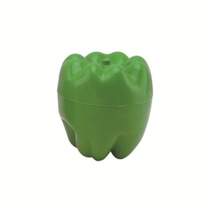 Plastic Food Storage Box with Lid for Vegetables and Fruits Fresh Keeping Container
