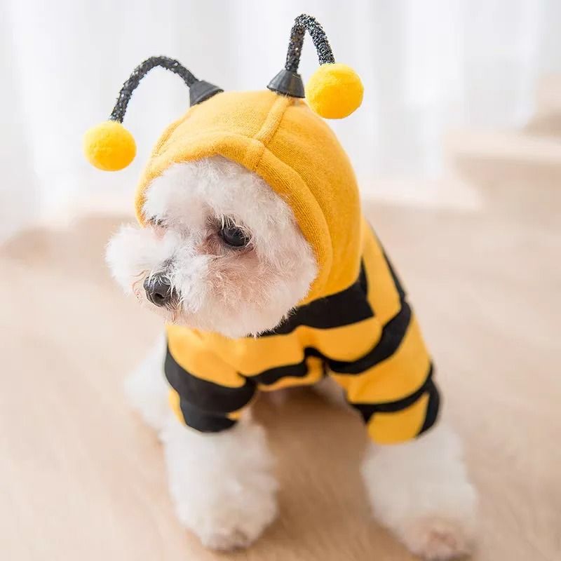 Bee Costume Hoodie for Pets Cozy Winter Outfit for Small Dogs and Cats