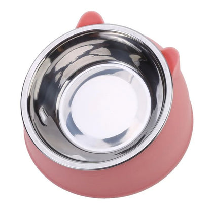 Inclined Stainless Steel Pet Food and Water Bowl for Cats and Small Dogs