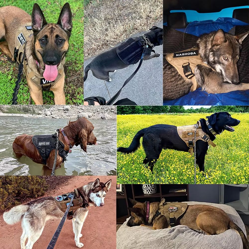 K9Force Elite Tactical Dog Harness – Large Military Style Vest for German Shepherd, Malinois & Working Breeds