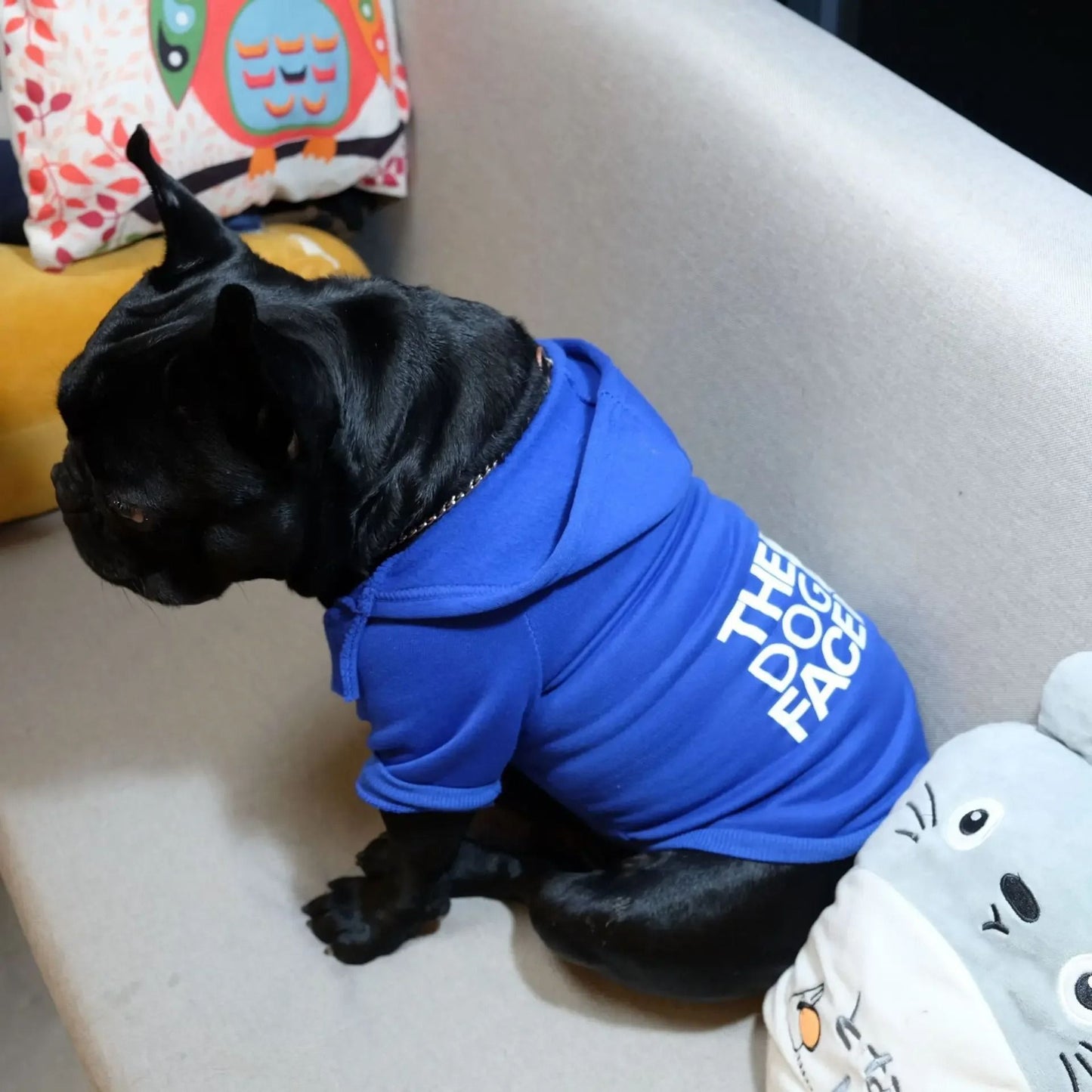 Pet Dog Hoodie for Autumn and Winter Large Dog Clothes with Text Pattern and Comfortable Fit