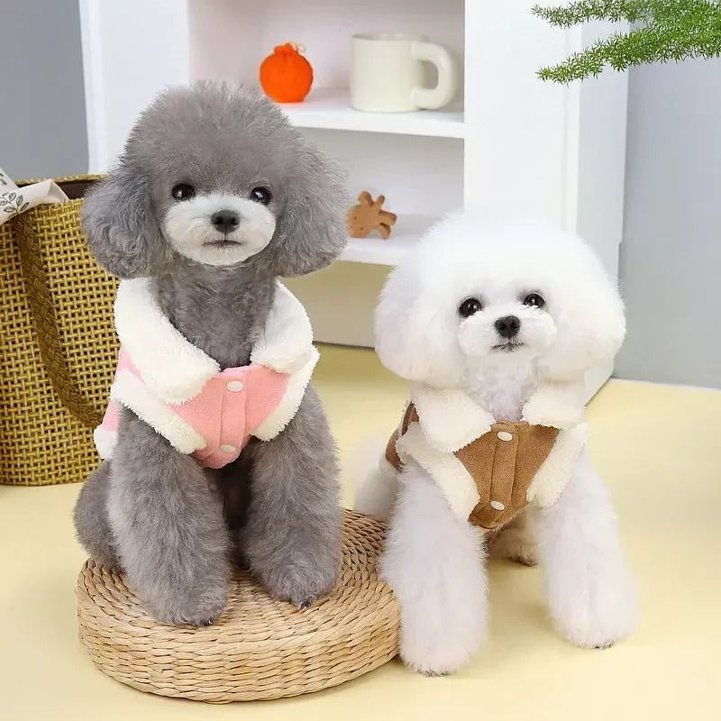 Winter Dog Cotton Jacket Warm Pet Clothes for Small and Medium Dogs